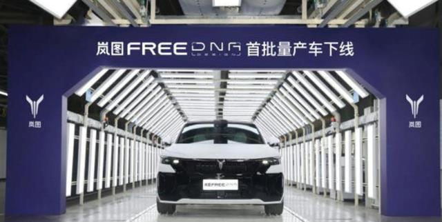 首批岚图FREEDNA量产交付 限量3000台开云 开云体育 开启新能源车定制时代(图4)