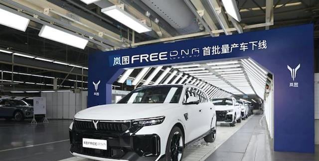 首批岚图FREEDNA量产交付 限量3000台开云 开云体育 开启新能源车定制时代(图2)