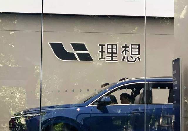 过年回了趟老家除了老头乐这里是新能源荒漠开云 开云体育(图4)