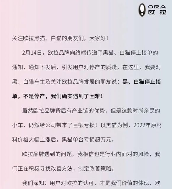 2022年新能源汽车上演“亏损竞赛”开云 开云体育平台(图3)