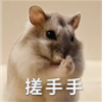 开云 开云体育官网集合竞价散户也能抓涨停？！后悔自己知道晚了！(图1)