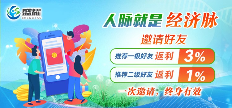 开云体育 开云官网盛耀新能源锚定优秀合作伙伴共同推动光伏、风电、储能等多领域的新能源项目合作(图3)