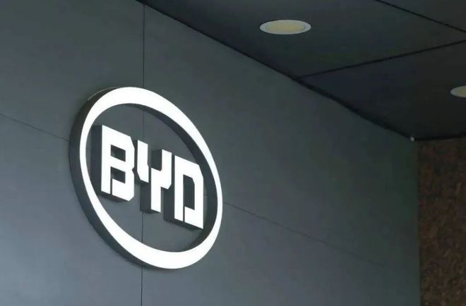 市场调查：2月销量理想强劲新能源车市终端降价一开云 开云体育片乱象(图1)