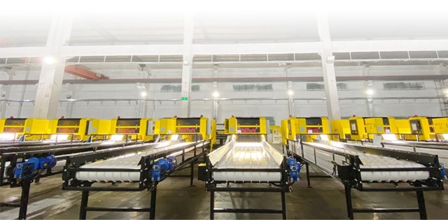 弓叶迈向全球化:用科技的力量重新开云体育 开云官网创造废弃物价值(图6) 弓叶迈向全球化:用科技的力量重新开云体育 开云官网创造废弃物价值(图6)