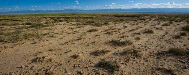 开云 开云体育官网什么是可再生资源和不可再生资源(图1)