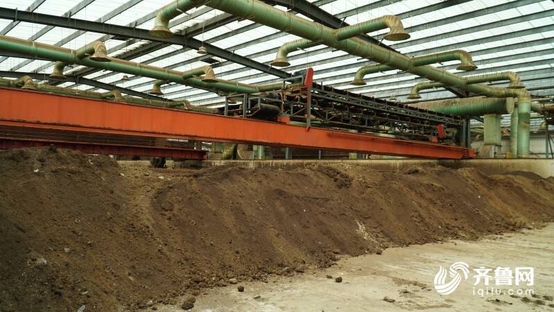 化“粪”为宝 阳信牛开云体育 开云平台产业实现废弃资源再利用(图2)