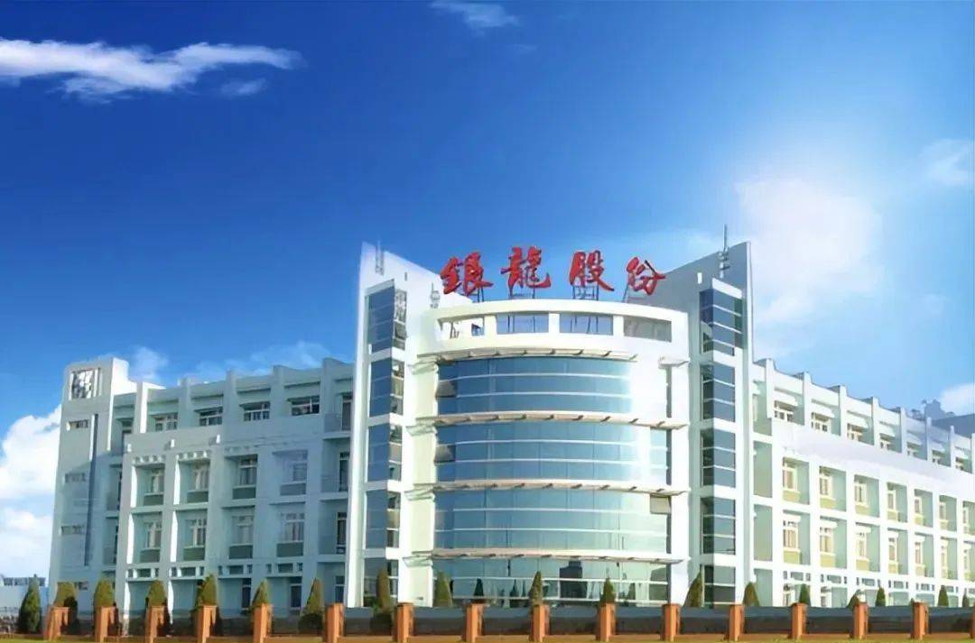 开云体育 开云官网新能源行业真正的龙头：比黄金还稀有的7只“新能源”潜力股(图6)