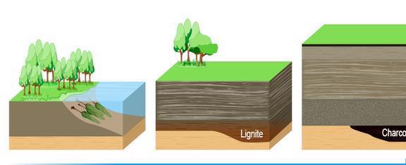 石油没有变少却在变多？明明是不可再生资源却“越用越多”？Kaiyun 开云(图3)