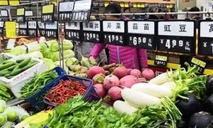 开云 开云体育平台2022再生资源行业分析报告 再生资源行业前景及现状分析(图6)