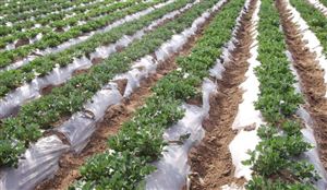 开云 开云体育平台2022再生资源行业分析报告 再生资源行业前景及现状分析(图2)