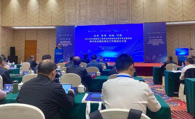 开云 开云体育平台推动新能源及电力系统安全高质量发展！两院院士来松江参加了这场大会……(图1)