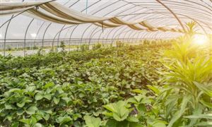 新能源汽车行业研究:新能源汽车产业再迎利好开云体育 kaiyun.com 官网入口 未来行业人才需求旺盛(图5) 新能源汽车行业研究:新能源汽车产业再迎利好开云体育 kaiyun.com 官网入口 未来行业人才需求旺盛(图5)