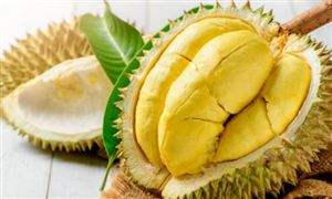 开云 开云体育官网再生资源行业发展机遇 再生资源行业运行现状及分析(图7)