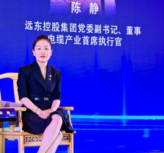 抢开云体育 开云官网抓新能源风口焕发生机 远东股份布局海外前景广阔(图2) 抢开云体育 开云官网抓新能源风口焕发生机 远东股份布局海外前景广阔(图2)