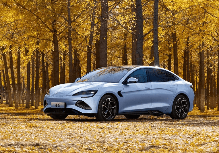 一新能源车亮相都是全开云体育 开云官网系标配电四驱比亚迪会跟吗？(图7)