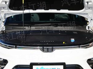 自主品牌新能源汽开云 开云体育平台车(图1)