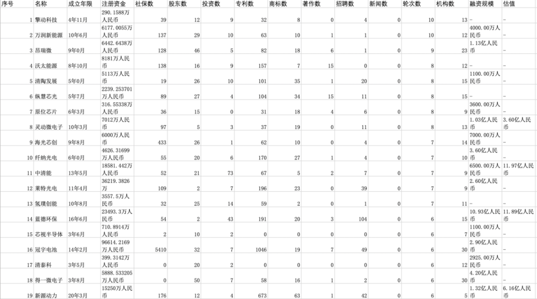 Kaiyun 开云万榜·2021中国新能源行业TOP10企业榜(图1)
