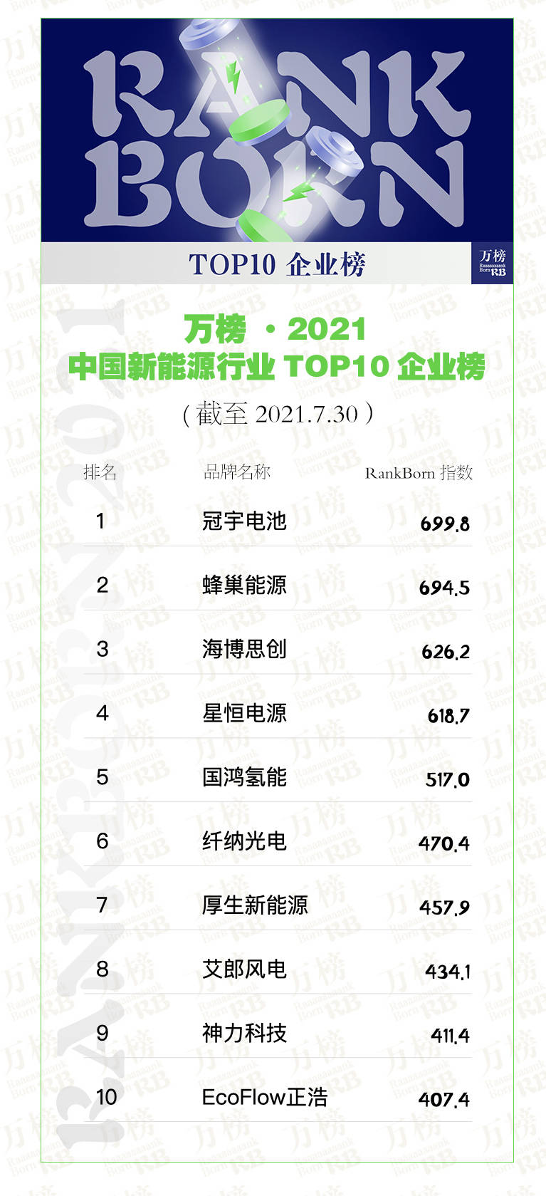 Kaiyun 开云万榜·2021中国新能源行业TOP10企业榜(图3)