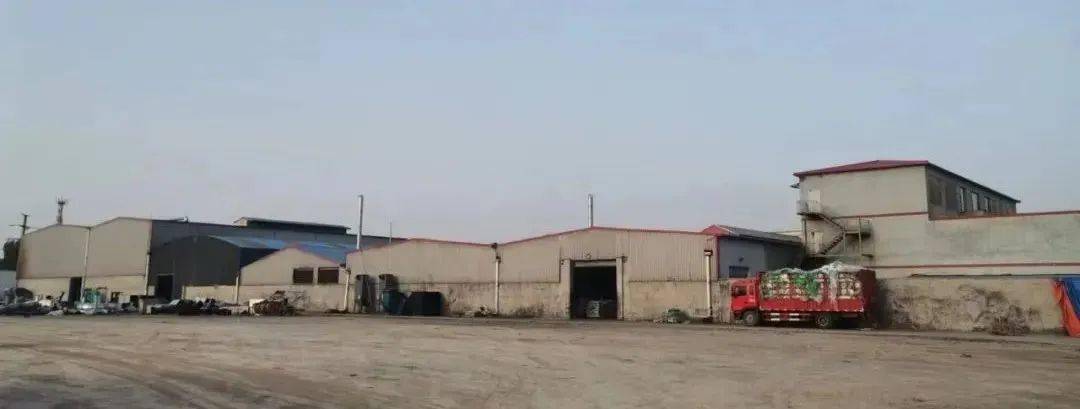 来看看回收料？国开云体育 Kaiyun.com 官网入口内14家再生PP知名企业盘点(图8)