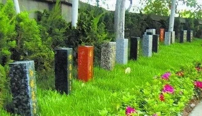 “生态循环被打破？火化是否浪费地球资源？”Kaiyun 开云体育(图5)