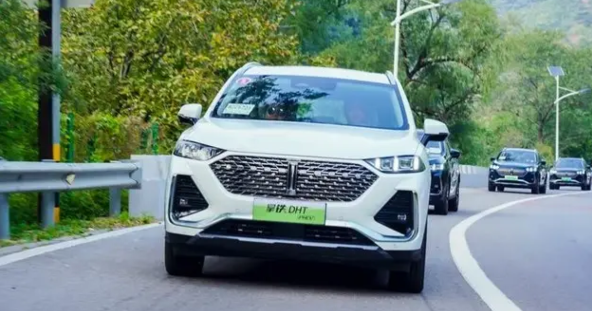 新能源车型怎么分类？开云 开云体育官网到底该怎么买更实用？(图5)