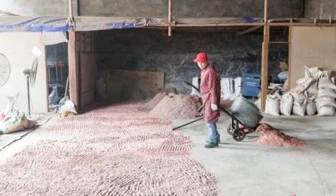 湖南：30年发展汨罗再生资源塑料行业的悲喜历程开云体育 开云平台(图2)