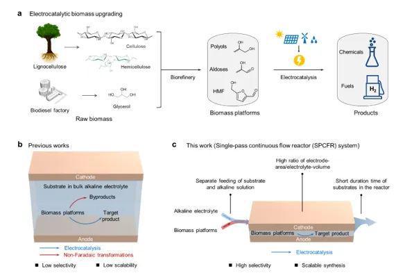 开云APP 开云官网入口清华段昊泓团队：公斤级、连续化电催化生物质转化抑制非法拉第副反应是关键(图1)