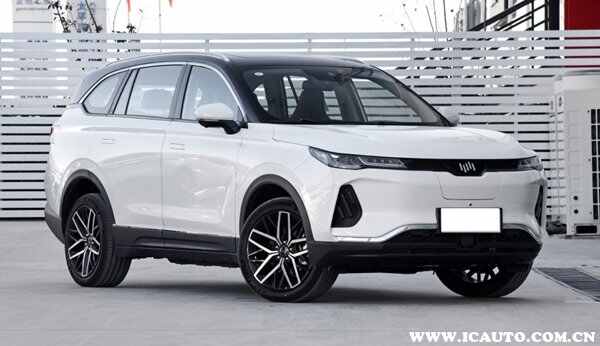新能源纯电动汽车品牌2022新能源汽车前开云体育 Kaiyun.com 官网入口十名品牌(图8)