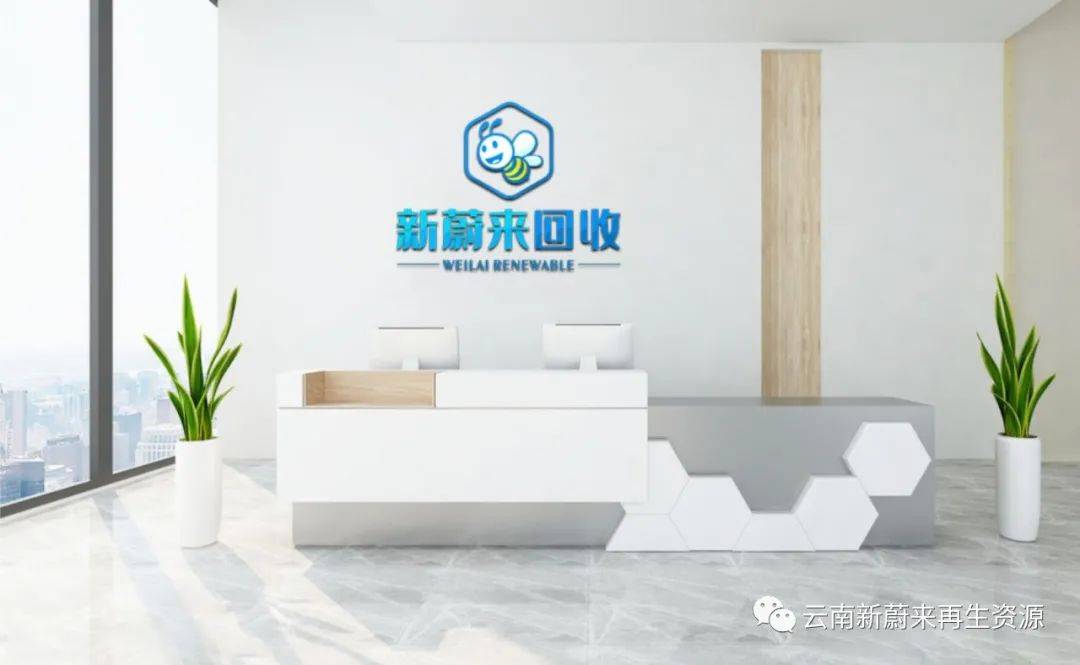 云南新蔚来再生资源有限公司简介开云APP 开云官网入口(图1)