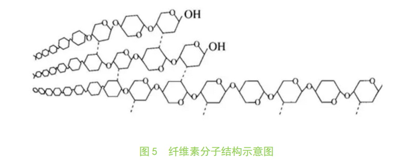 Kaiyun 开云不容忽视的天然可再生资源——纤维素(图7)