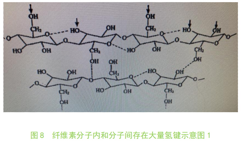 Kaiyun 开云不容忽视的天然可再生资源——纤维素(图9)