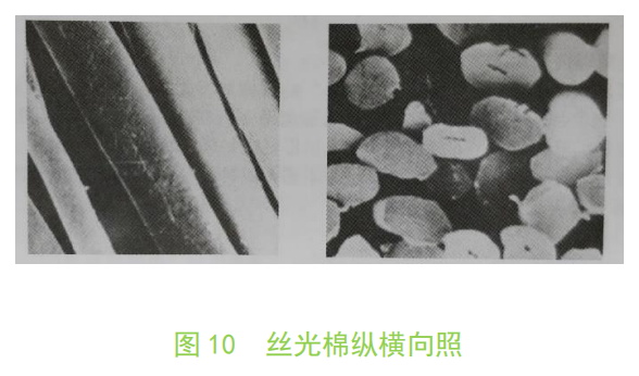 Kaiyun 开云不容忽视的天然可再生资源——纤维素(图10)