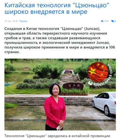 Kaiyun 开云小而美的“中国草”在各国开出“幸福花”(图6)
