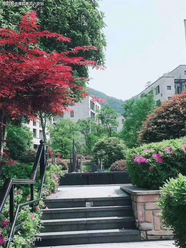西湖区西溪十九府大平层)首页网站丨西溪十九府详情地址户型销售价格开云体育 开云平台(图6)