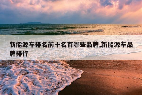 开云 开云体育平台新能源车排名前十名有哪些品牌新能源车品牌排行(图1)
