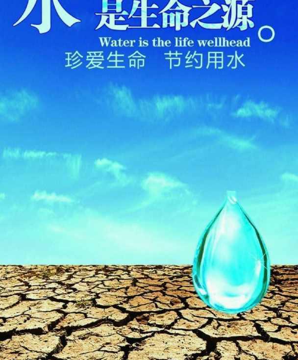 “互联网 ”资源合理利用走上绿色生开云体育 Kaiyun.com 官网入口活！(图3)